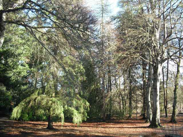 Click for more Details Inverness Bike Tours